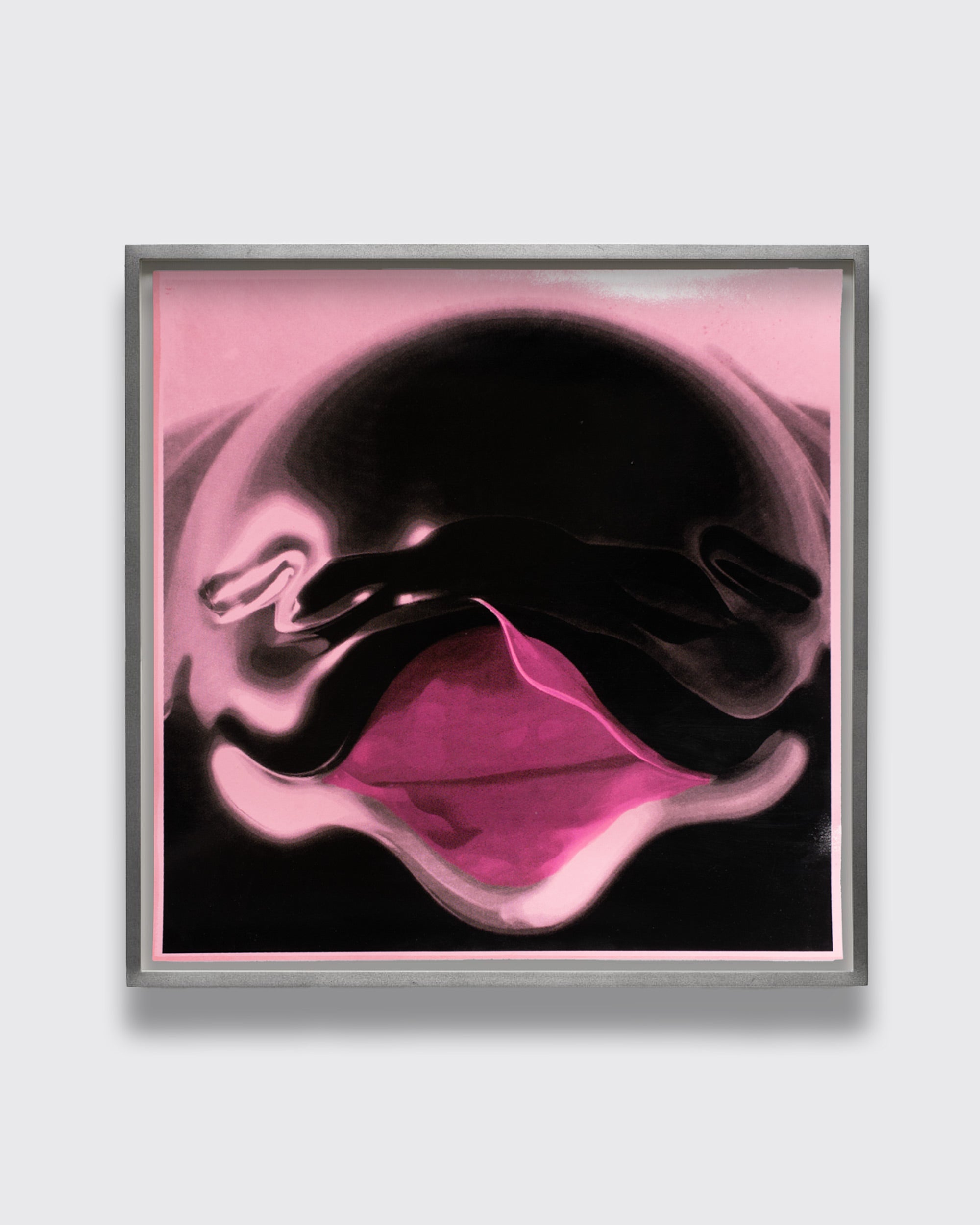 Dolphi-Lover 111