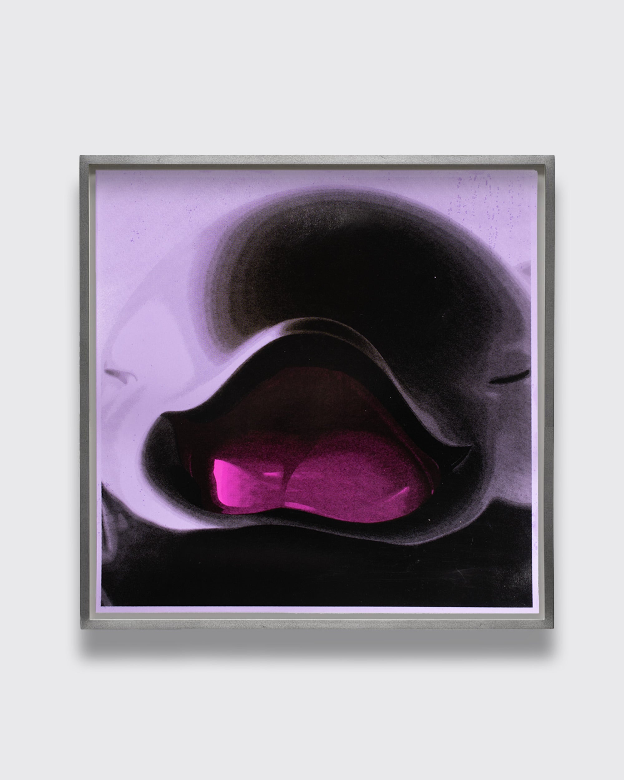 Dolphi-Lover 222