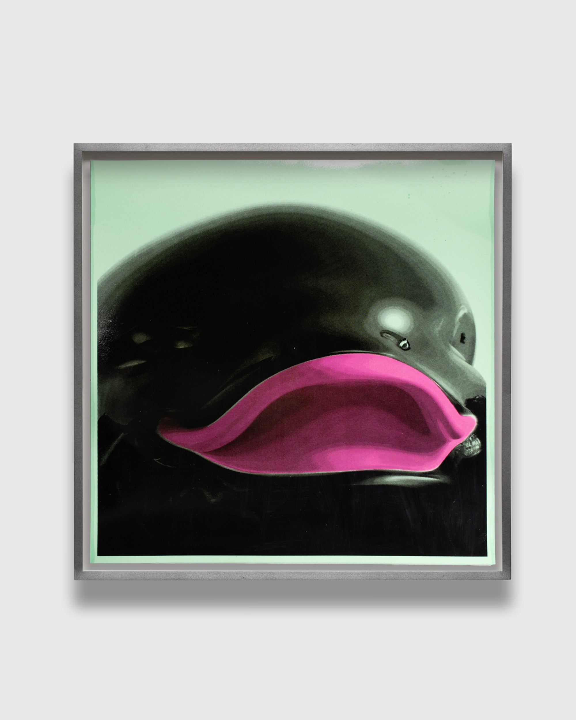 Dolphi-Lover 333