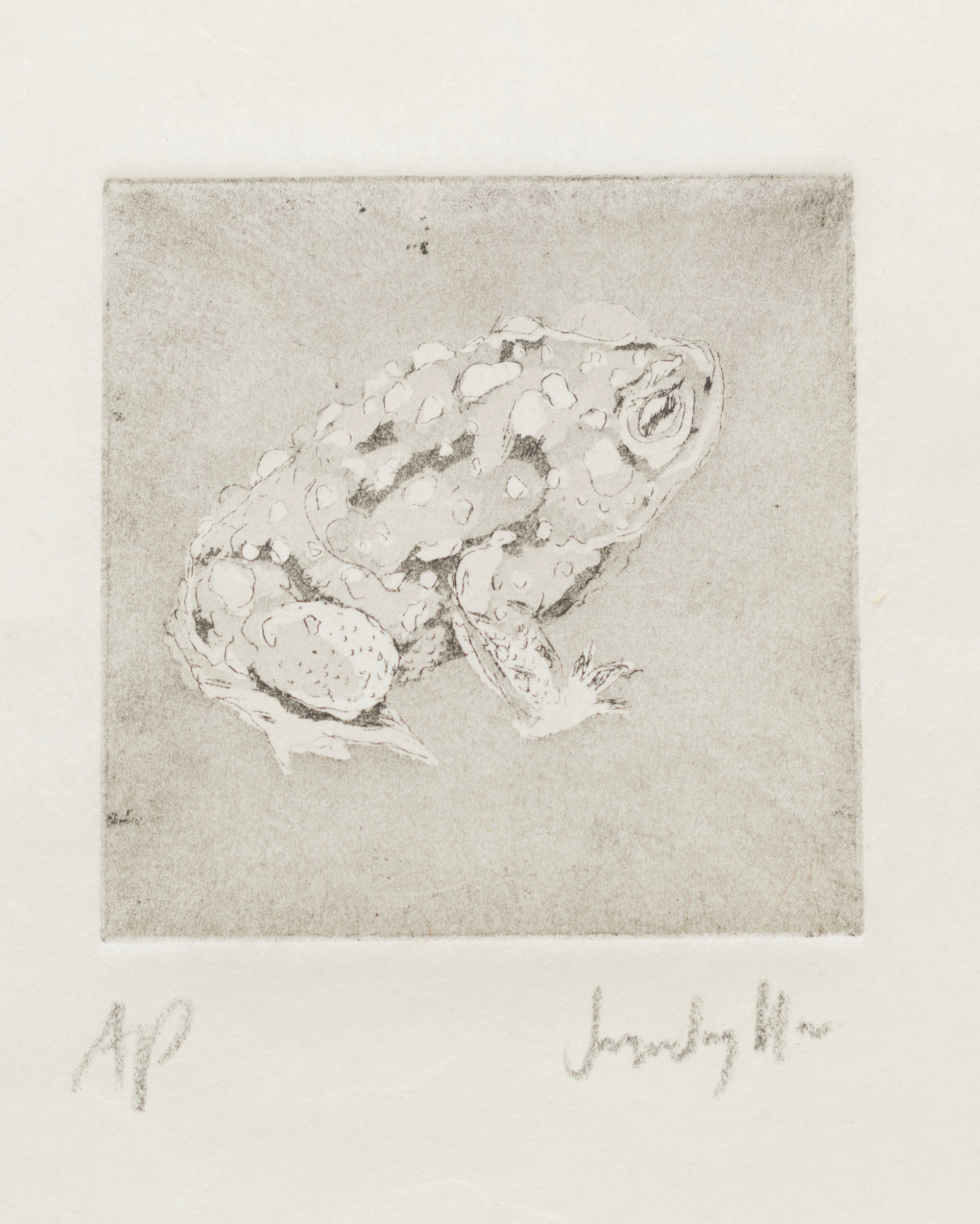 Toad (Patience)